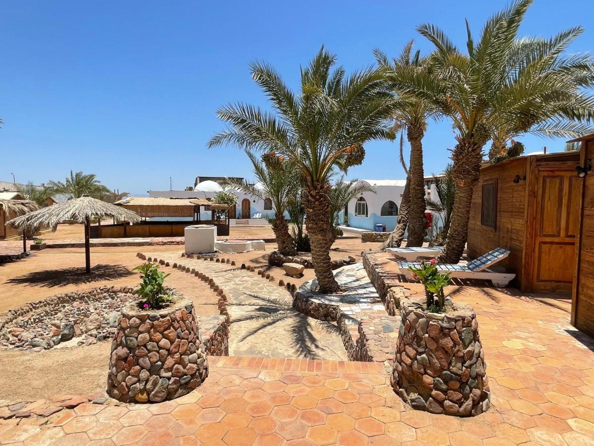 Dolphin Camp Hotel Dahab Luaran gambar