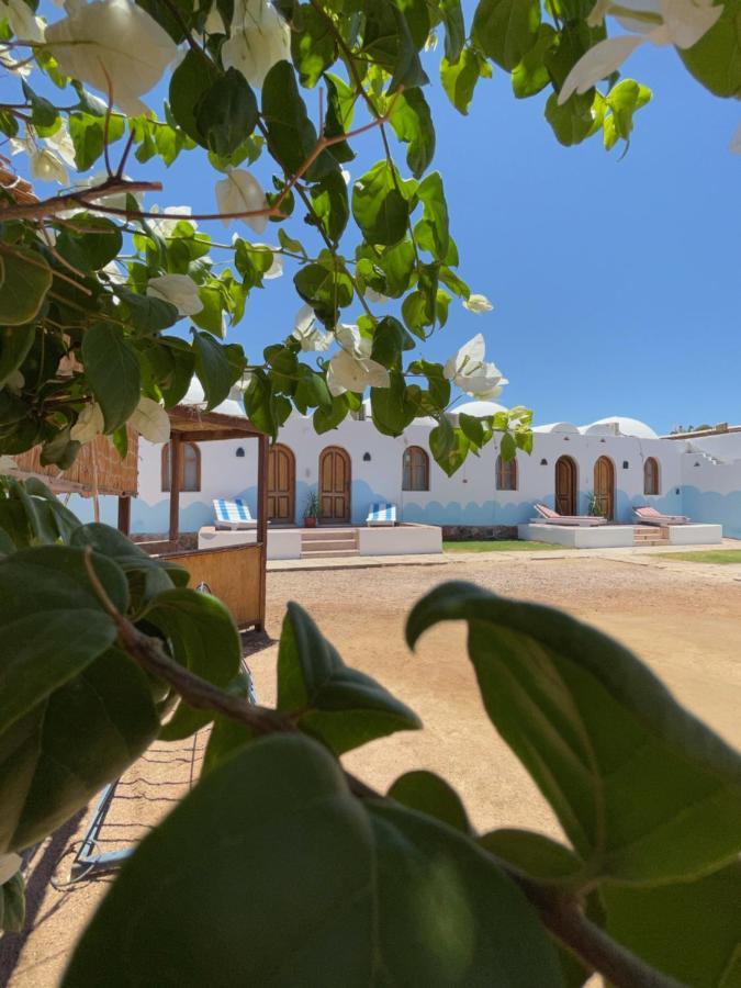 Dolphin Camp Hotel Dahab Luaran gambar