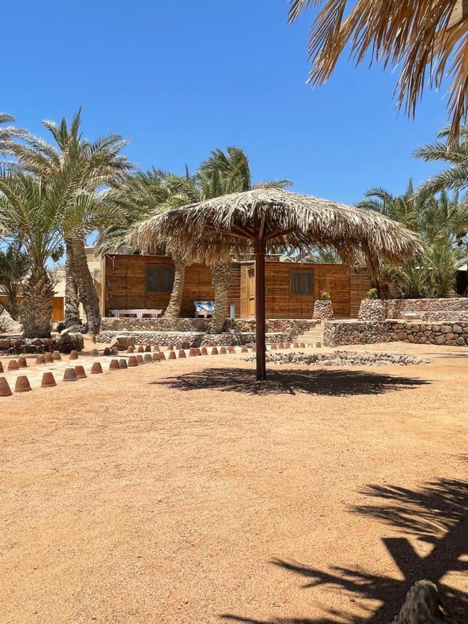 Dolphin Camp Hotel Dahab Luaran gambar