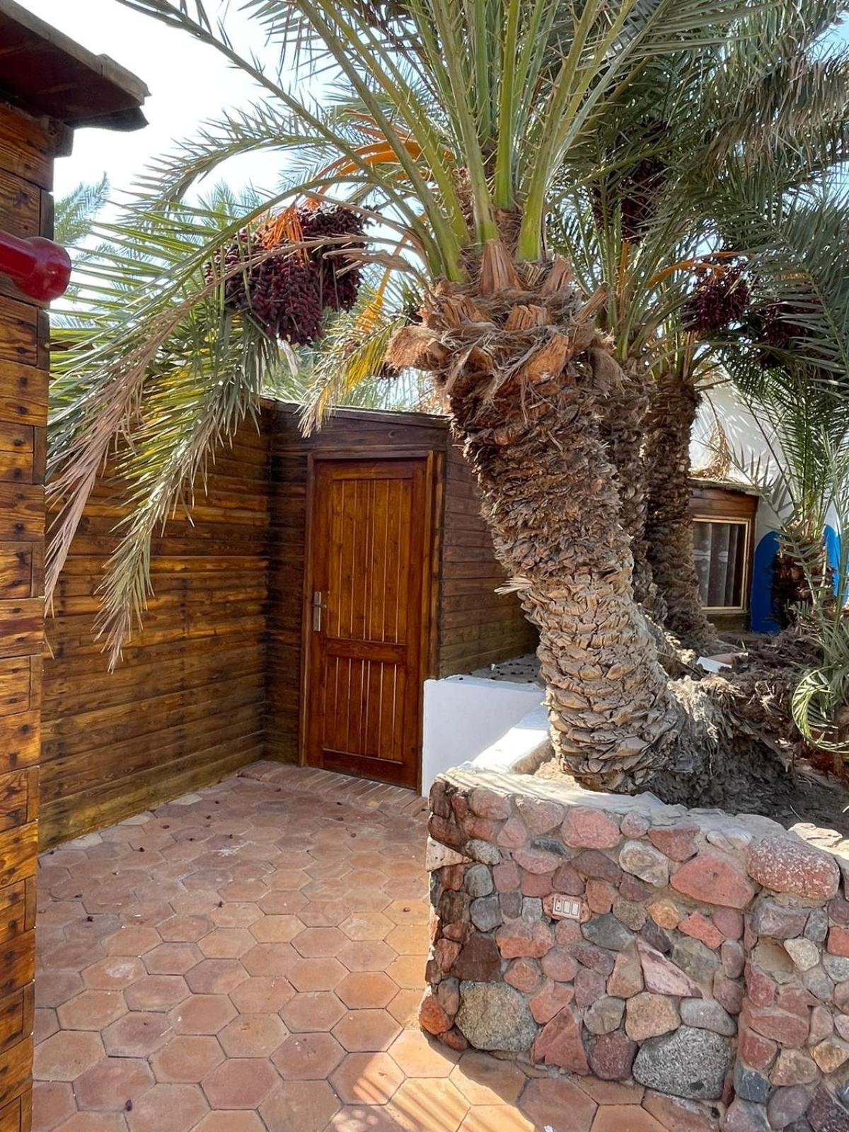 Dolphin Camp Hotel Dahab Luaran gambar