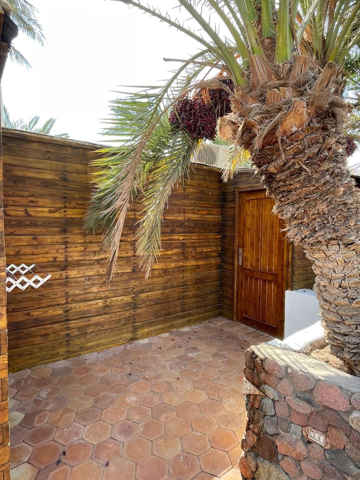 Dolphin Camp Hotel Dahab Luaran gambar